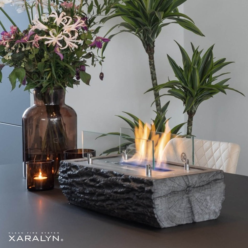 Cheminée de table bioéthanol Xaralyn Woody